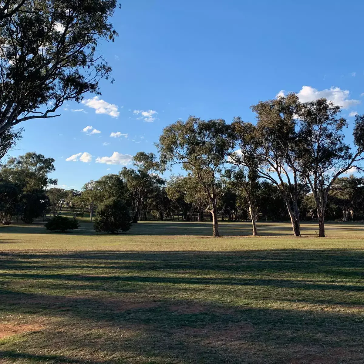 Ashford Golf Club 1
